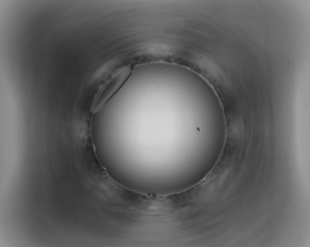 X0000114081110200910051353