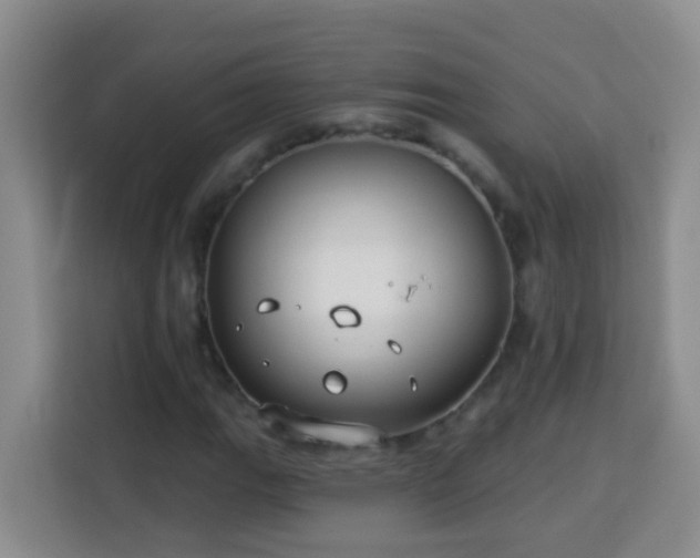 X0000114081111200910051353