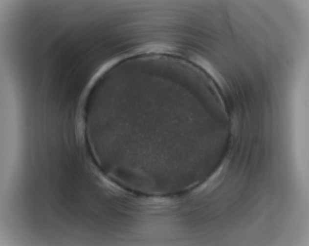 X0000114081115200910051353