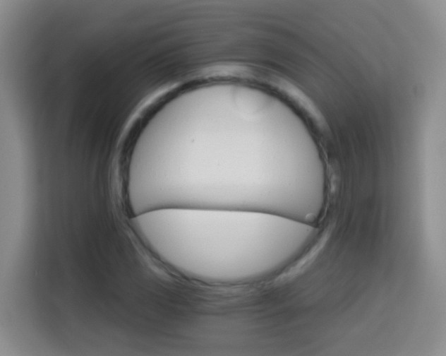 X0000114081117200910051353