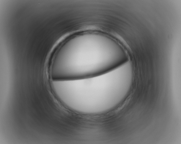 X0000114081118200910051353