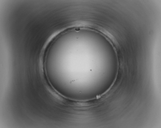 X0000114081120200910051353