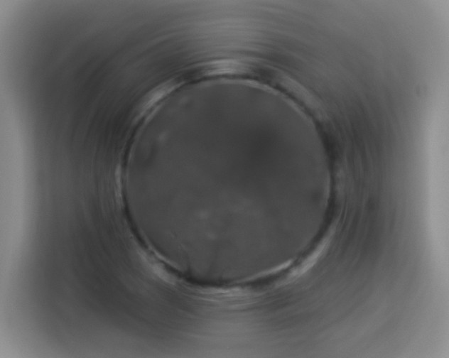 X0000114081121200910051353