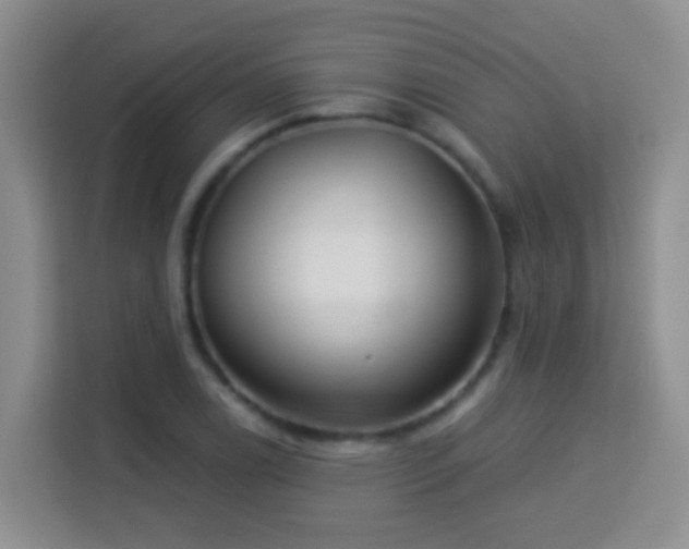 X0000114081122200910051353