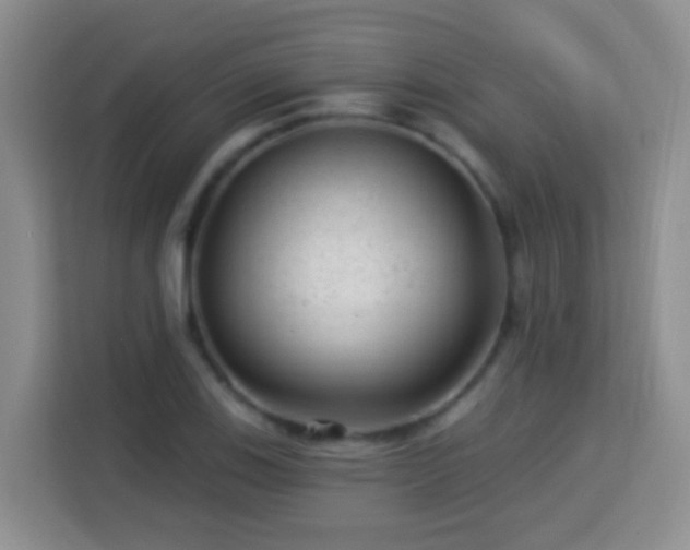 X0000114081123200910051353