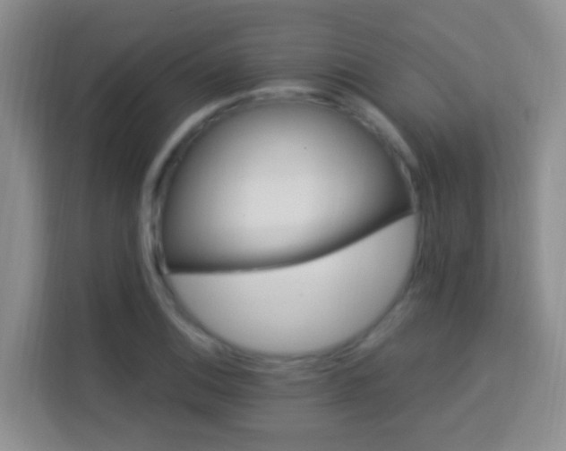 X0000114081124200910051353