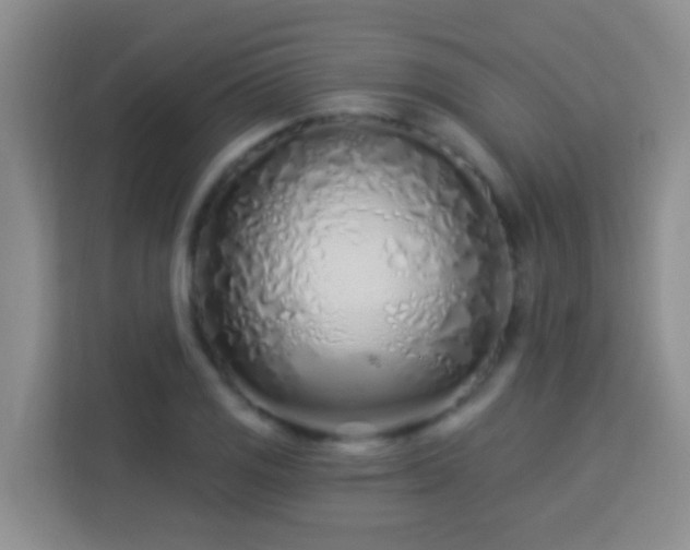 X0000114081125200910051353