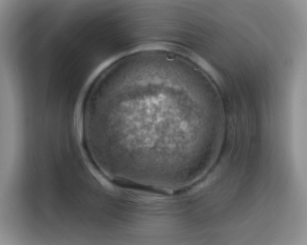 X0000114081127200910051353