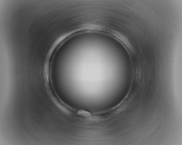 X0000114081128200910051353