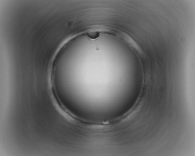 X0000114081132200910051353