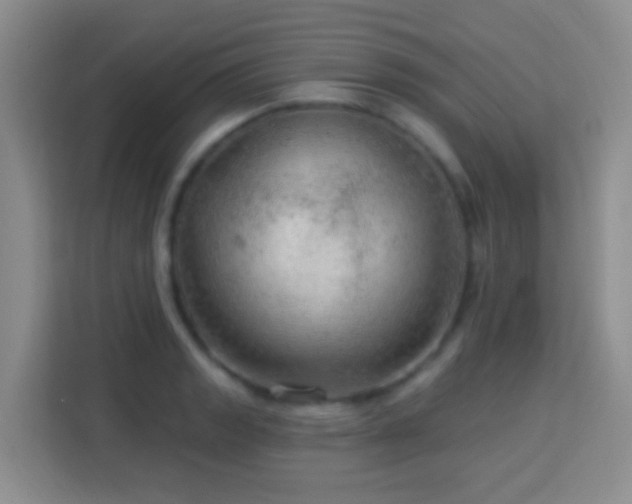 X0000114081133200910051353