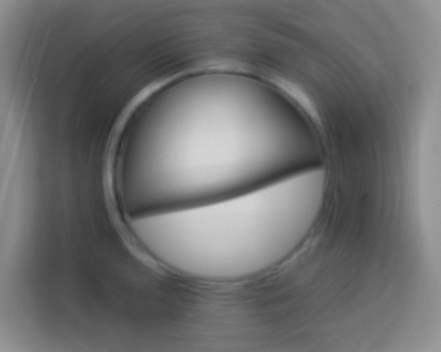 X0000114081136200910051353