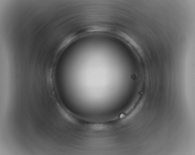 X0000114081137200910051353