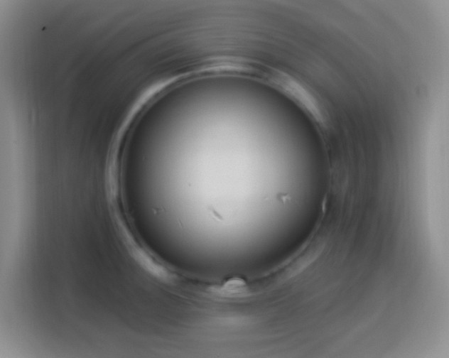 X0000114081140200910051353