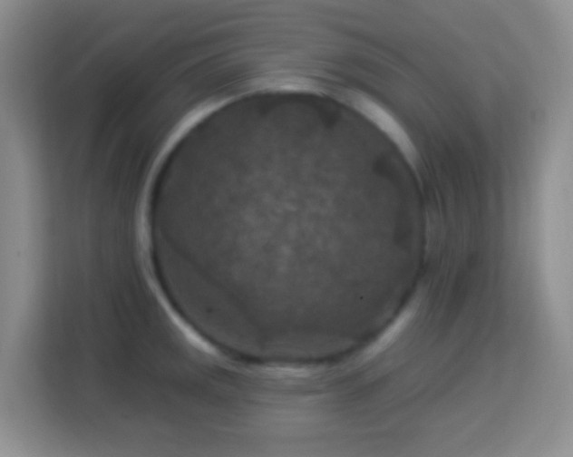 X0000114081141200910051353