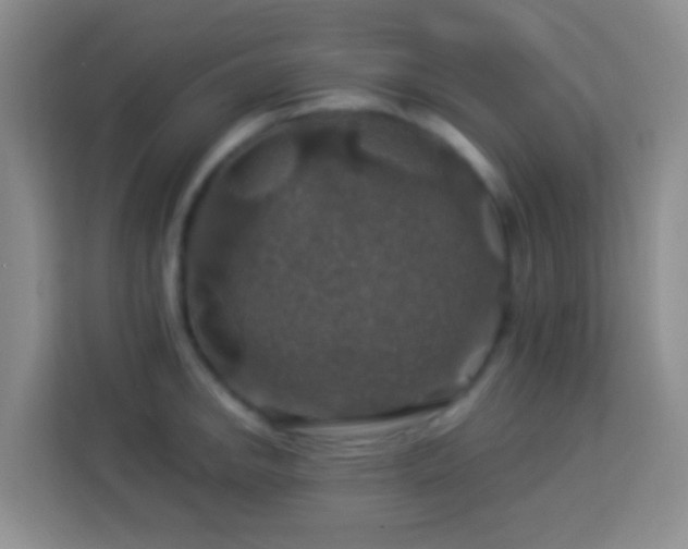 X0000114081142200910051353