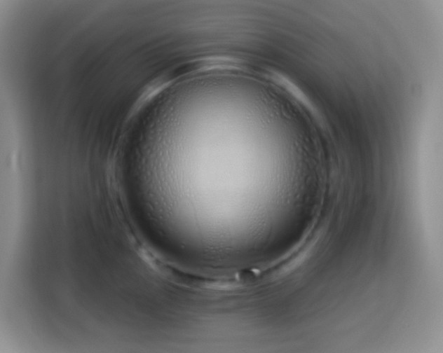 X0000114081145200910051353