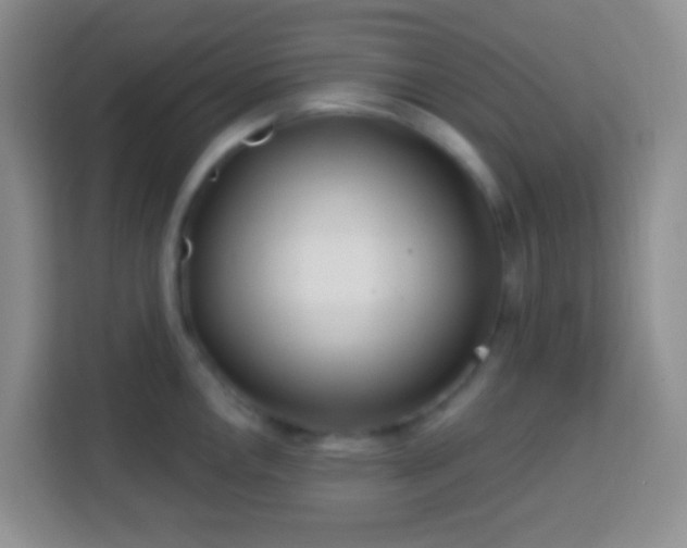 X0000114081146200910051353