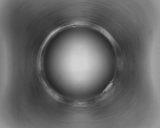 X0000114081148200910051353