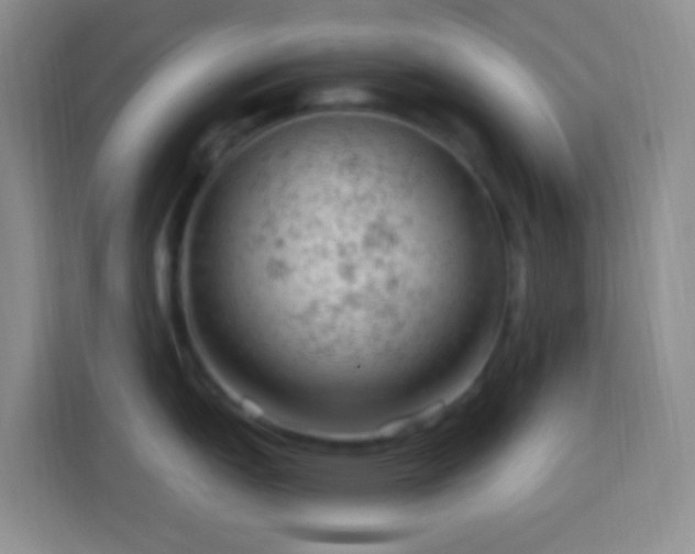 X0000114081151200910051353