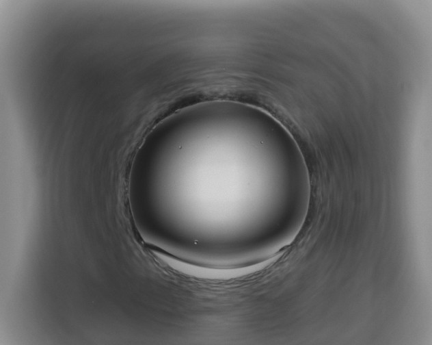 X0000114081153200910051353