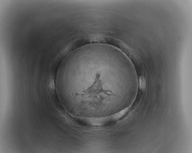 X0000114081155200910051353