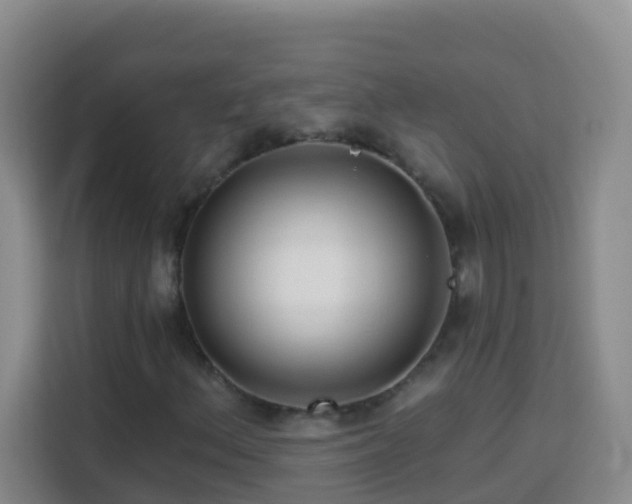 X0000114081156200910051353