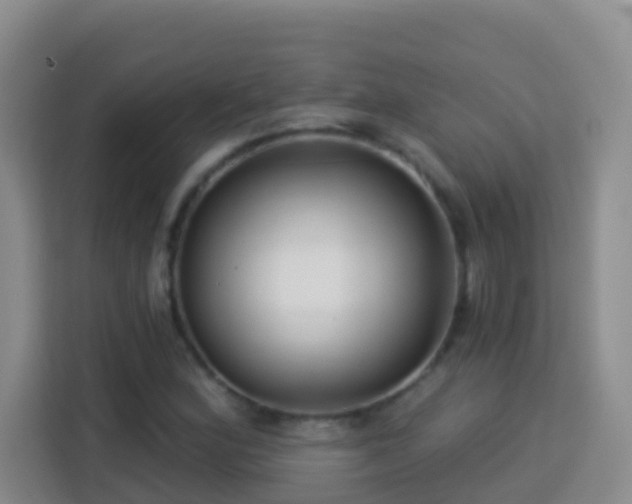 X0000114081164200910051353