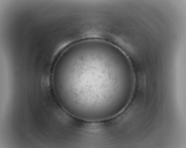 X0000114081166200910051352