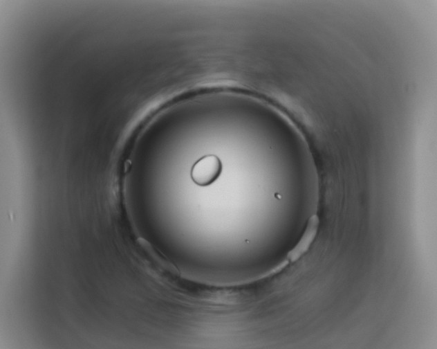 X0000114081167200910051352