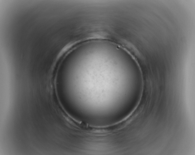 X0000114081168200910051352