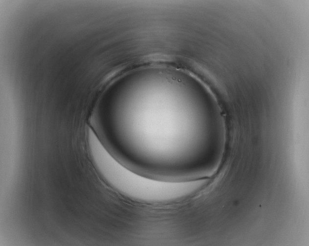 X0000114081169200910051352