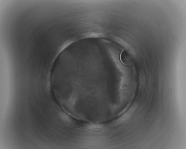 X0000114081170200910051352