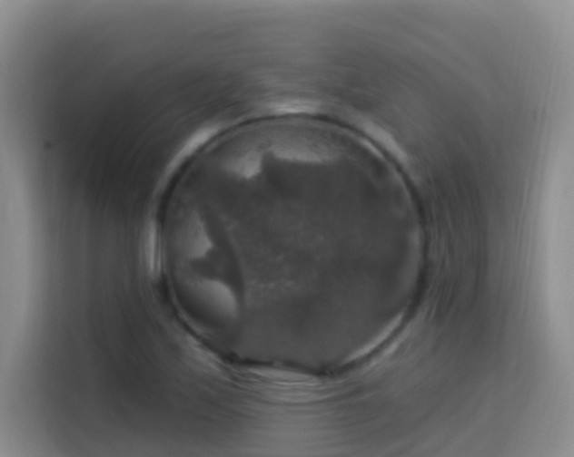 X0000114081171200910051352