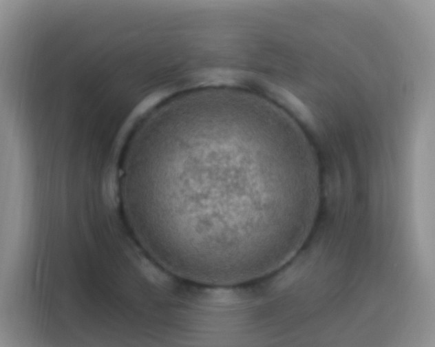 X0000114081172200910051352