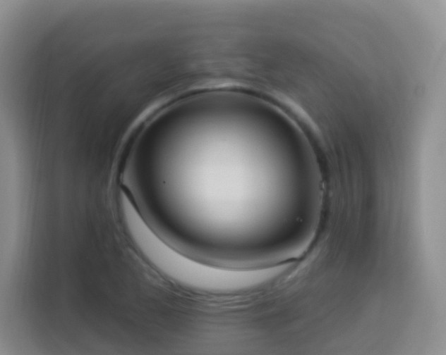 X0000114081173200910051352