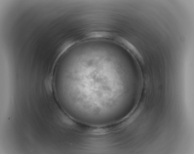 X0000114081178200910051352