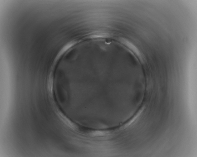 X0000114081179200910051352