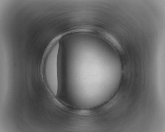 X0000114081180200910051352