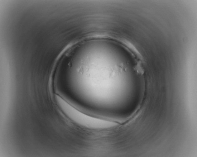 X0000114081181200910051352