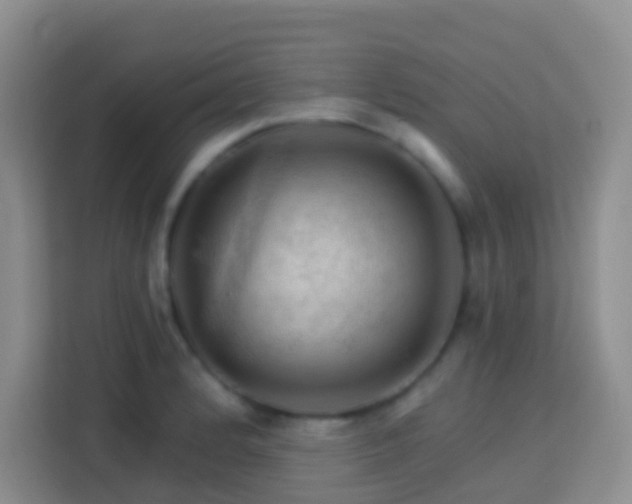 X0000114081184200910051352