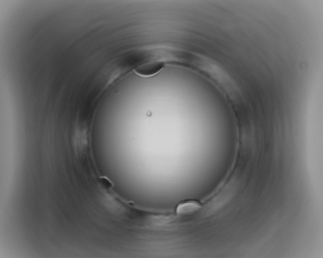 X0000114081185200910051352