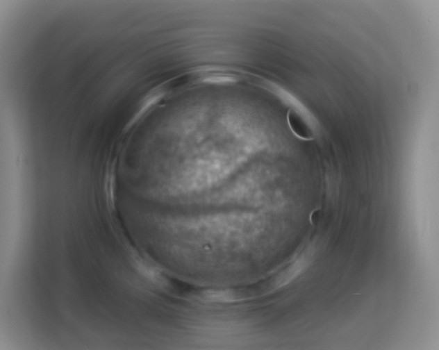 X0000114081194200910051352