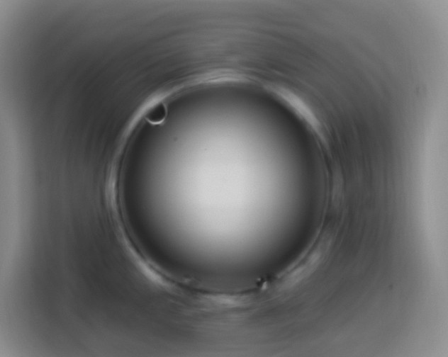 X0000114081197200910051352