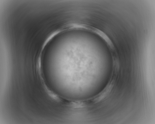 X0000114081198200910051352