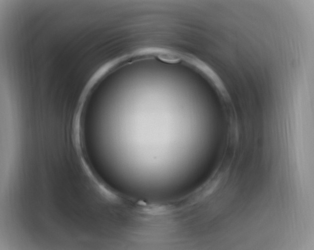 X0000114081199200910051352