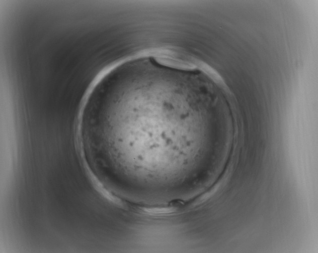 X0000114081200200910051352