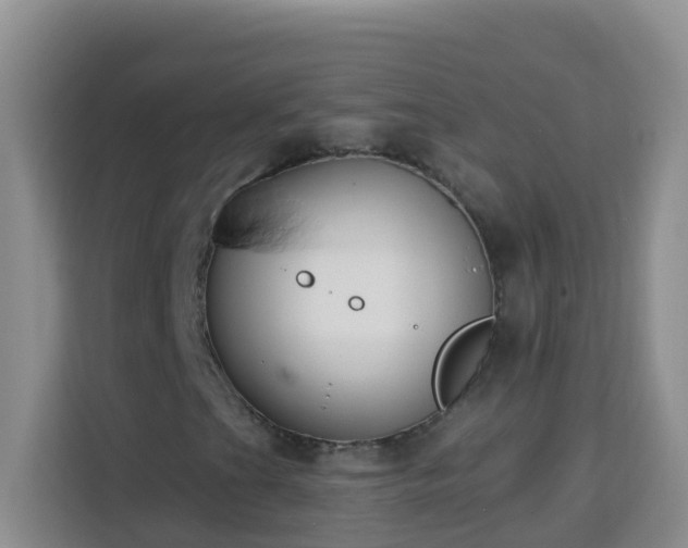 X0000114081201200910051351