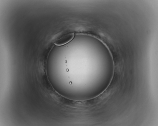 X0000114081205200910051351