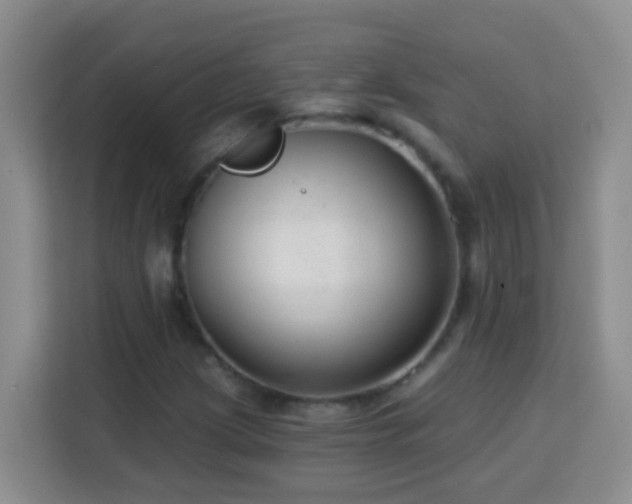 X0000114081209200910051352